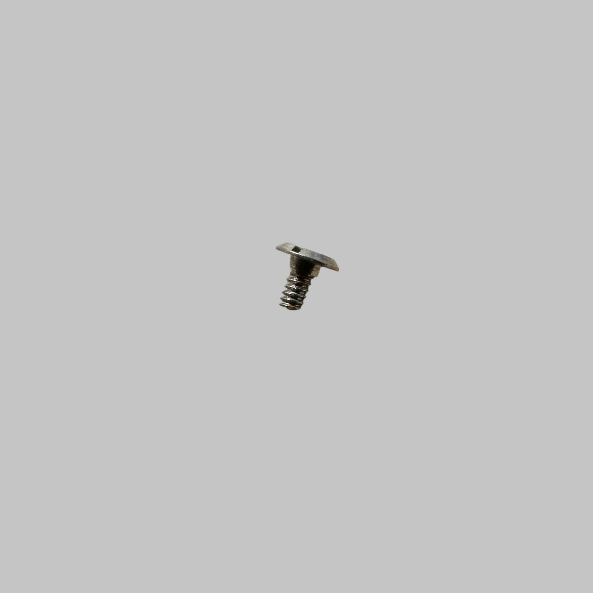 Venus setting yoke spring screw 57312 | WatchmakerFix